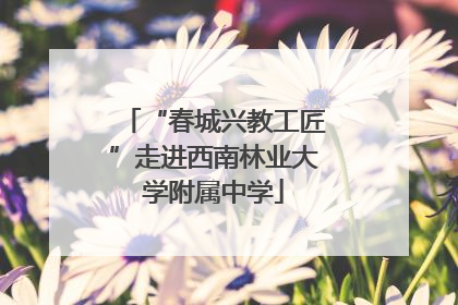 “春城兴教工匠”走进西南林业大学附属中学