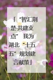 “智汇荆楚·共建支点” 我为湖北“十五五”规划建言献策