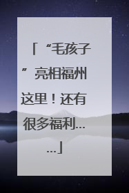 “毛孩子”亮相福州这里！还有很多福利……