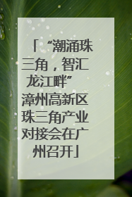 “潮涌珠三角，智汇龙江畔” 漳州高新区珠三角产业对接会在广州召开