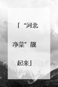 “河北净菜”靓起来