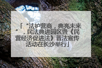 “法护营商，典亮未来”，民法典进园区暨《民营经济促进法》普法宣传活动在长沙举行