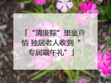 “清廉粽”里裹真情 独居老人收到“专属端午礼”