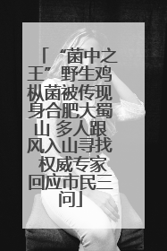 “菌中之王”野生鸡枞菌被传现身合肥大蜀山 多人跟风入山寻找 权威专家回应市民三问