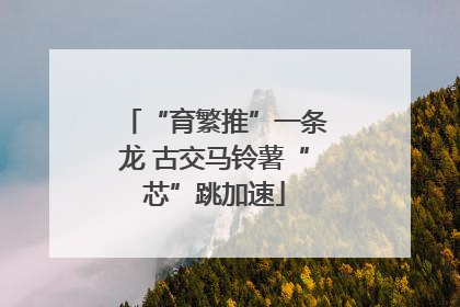 “育繁推”一条龙 古交马铃薯“芯”跳加速