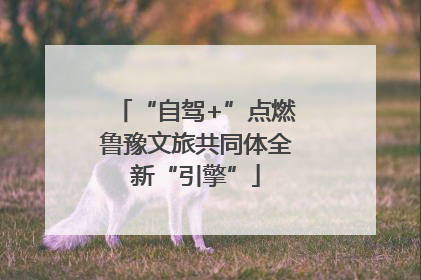 “自驾+”点燃鲁豫文旅共同体全新“引擎”