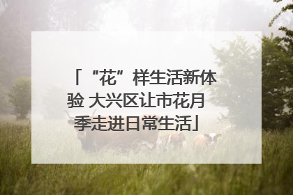 “花”样生活新体验 大兴区让市花月季走进日常生活