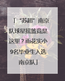 “苏超”南京队球星摇篮竟是这里？雨花实小9名毕业生入选南京队