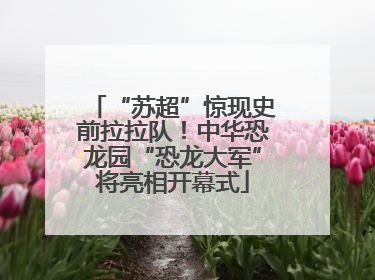 “苏超”惊现史前拉拉队！中华恐龙园“恐龙大军”将亮相开幕式