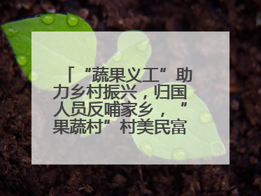 “蔬果义工”助力乡村振兴，归国人员反哺家乡，“果蔬村”村美民富香飘远近