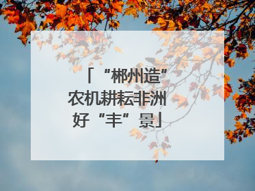 “郴州造”农机耕耘非洲好“丰”景