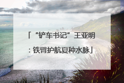 “铲车书记”王亚明：铁臂护航夏种水脉