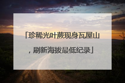 珍稀光叶蕨现身瓦屋山，刷新海拔最低纪录
