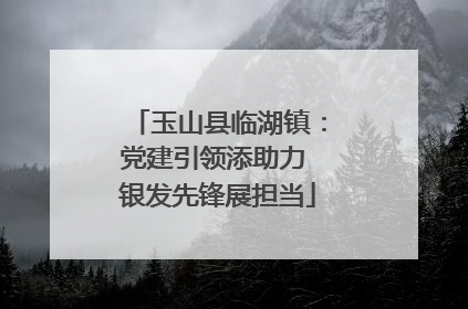 玉山县临湖镇：党建引领添助力 银发先锋展担当