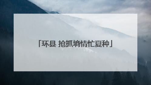 环县 抢抓墒情忙夏种