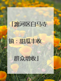 瀍河区白马寺镇：甜瓜丰收 群众增收