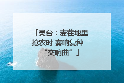 灵台：麦茬地里抢农时 奏响复种“交响曲”