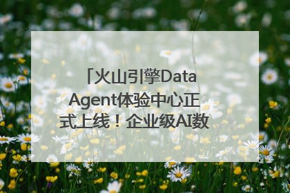 火山引擎Data Agent体验中心正式上线！企业级AI数据专家触手可及