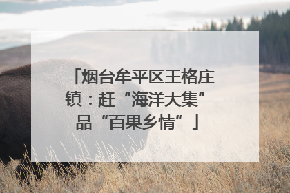烟台牟平区王格庄镇：赶“海洋大集” 品“百果乡情”