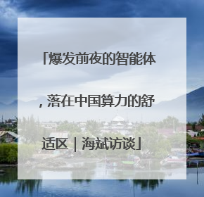 爆发前夜的智能体，落在中国算力的舒适区｜海斌访谈