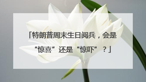 特朗普周末生日阅兵，会是“惊喜”还是“惊吓”？
