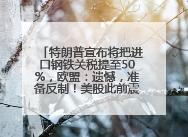 特朗普宣布将把进口钢铁关税提至50%，欧盟：遗憾，准备反制！美股此前震荡，机构：美元正进入熊市