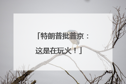 特朗普批普京：这是在玩火！