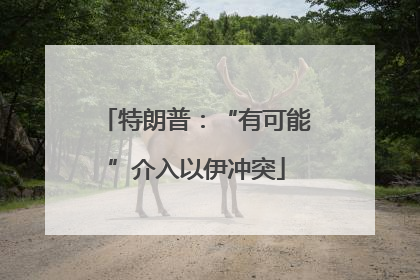 特朗普：“有可能”介入以伊冲突
