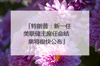 特朗普：新一任美联储主席任命结果将很快公布