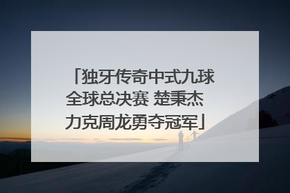 独牙传奇中式九球全球总决赛 楚秉杰力克周龙勇夺冠军
