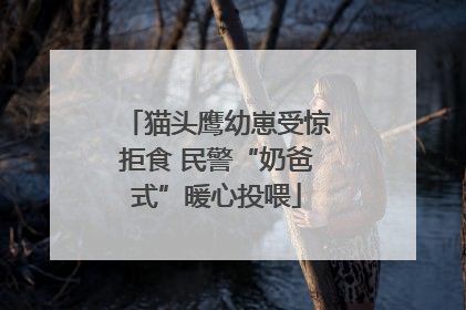 猫头鹰幼崽受惊拒食 民警“奶爸式”暖心投喂