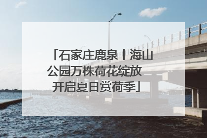 石家庄鹿泉丨海山公园万株荷花绽放 开启夏日赏荷季