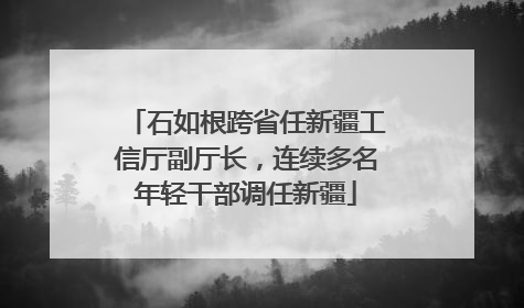 石如根跨省任新疆工信厅副厅长，连续多名年轻干部调任新疆