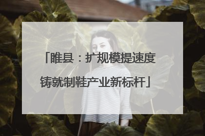 睢县：扩规模提速度 铸就制鞋产业新标杆