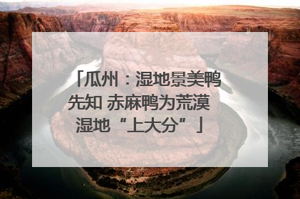 瓜州：湿地景美鸭先知 赤麻鸭为荒漠湿地“上大分”
