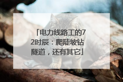 电力线路工的72时辰：爬陡坡钻隧道，还有其它