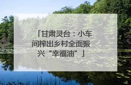 甘肃灵台：小车间榨出乡村全面振兴“幸福油”