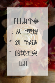 甘肃华亭：从“黑煤”到“绿链”的转型突围