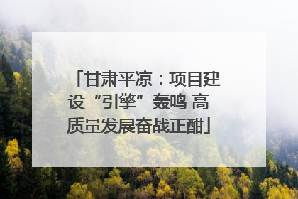 甘肃平凉：项目建设“引擎”轰鸣 高质量发展奋战正酣