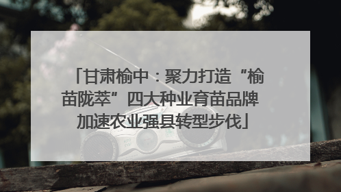 甘肃榆中：聚力打造“榆苗陇萃”四大种业育苗品牌 加速农业强县转型步伐