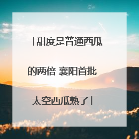 甜度是普通西瓜的两倍 襄阳首批太空西瓜熟了