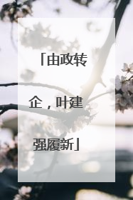由政转企，叶建强履新