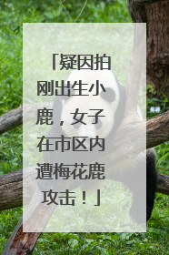 疑因拍刚出生小鹿，女子在市区内遭梅花鹿攻击！