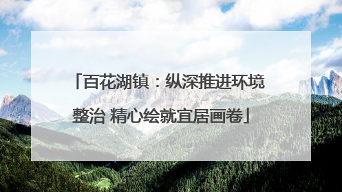 百花湖镇：纵深推进环境整治 精心绘就宜居画卷