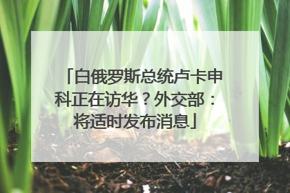 白俄罗斯总统卢卡申科正在访华？外交部：将适时发布消息