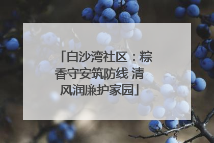 白沙湾社区：粽香守安筑防线 清风润廉护家园