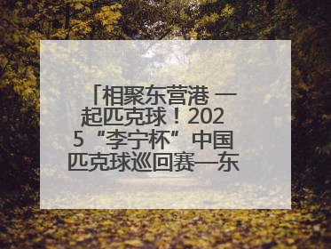 相聚东营港 一起匹克球！2025“李宁杯”中国匹克球巡回赛—东营站（CPC—1000）暨“好运山东”黄河口匹克球公开赛落幕