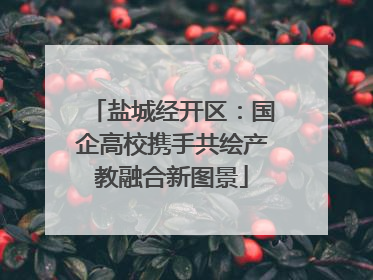 盐城经开区：国企高校携手共绘产教融合新图景