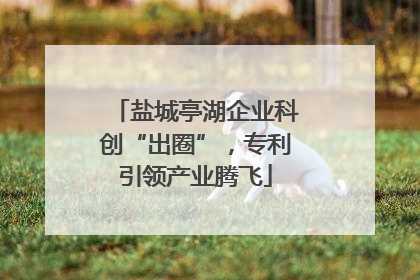盐城亭湖企业科创“出圈”，专利引领产业腾飞