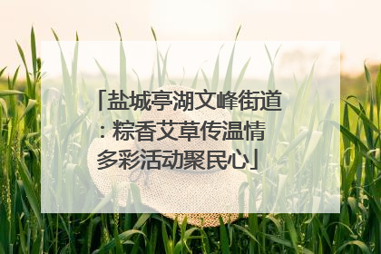 盐城亭湖文峰街道：粽香艾草传温情 多彩活动聚民心
